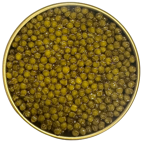 Kaspia Gold Caviar